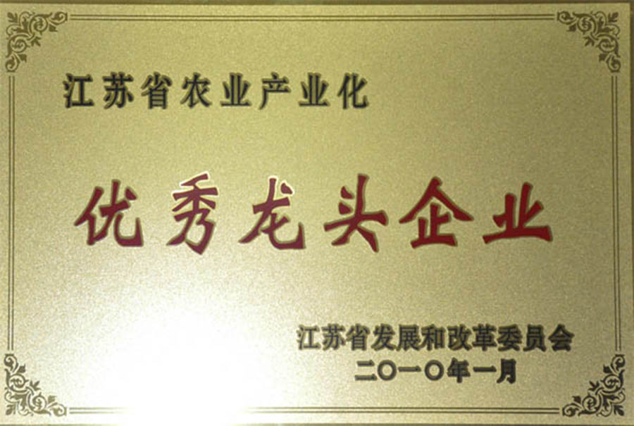 优秀龙头企业证明